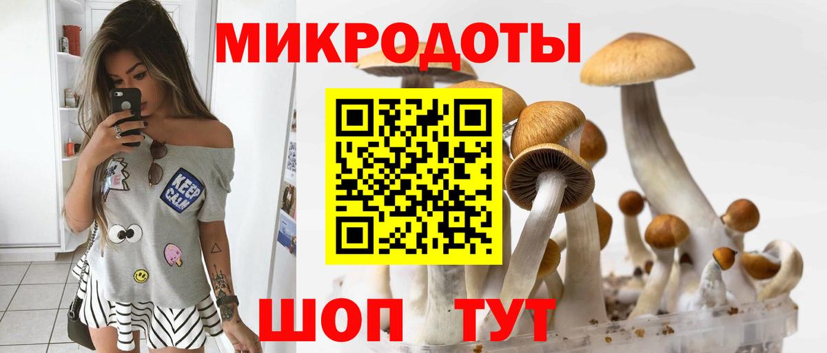 Псилоцибиновые грибы ЛСД  Вход с VPN  Чехов 